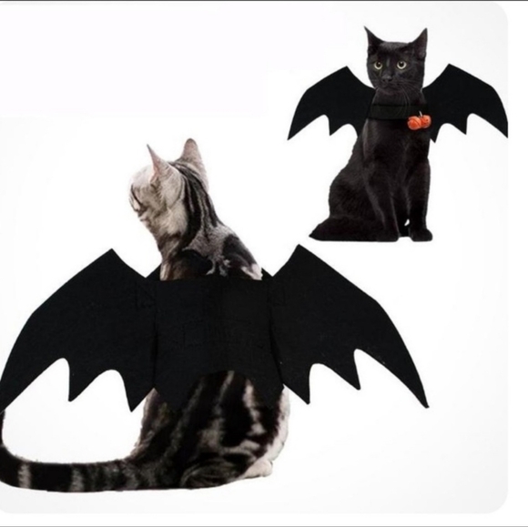 ⚡️Host Pick⚡️Cat Costume - "Bat Wings" Small Dog Costume - Picture 2 of 6